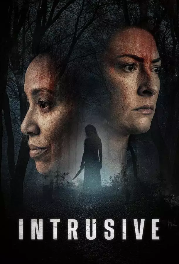 Навязчивость