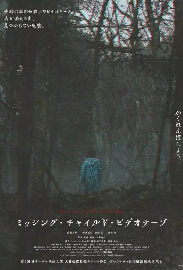 Видеозапись исчезновения ребёнка